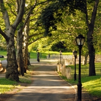 Central Park, New York